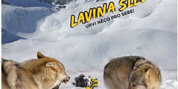 LAVINA SLEV S PROTECEM