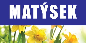 MATÝSEK